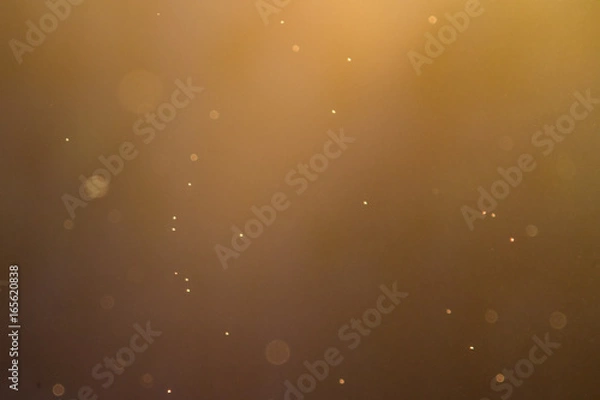 Obraz Swarm of gnats in orange sunset light