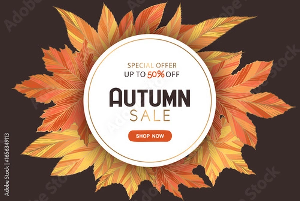 Fototapeta Autumn sale round vector banner template with colorful hand drawn maple leaves isolated on brown background. Fall leaf vector illustration. Seasonal design for website poster card advertising flyer