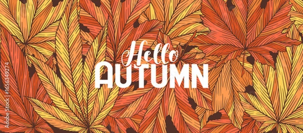 Fototapeta Hello autumn vector banner template with colorful hand drawn maple leaves isolated on brown background. Fall leaf vector illustration. Seasonal design for advertising flyer website poster card