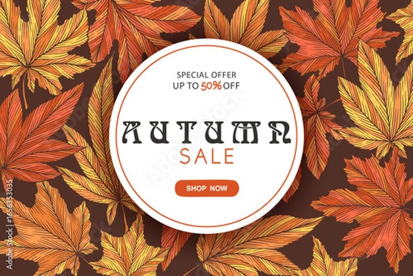 Fototapeta Autumn sale round vector banner template with colorful hand drawn maple leaves isolated on brown background. Fall leaf vector illustration. Seasonal design for poster card advertising flyer website