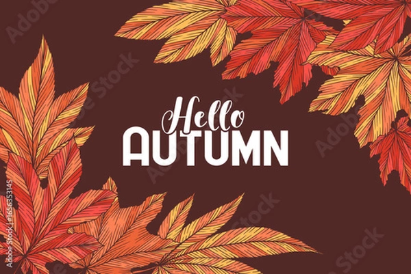 Fototapeta Hello autumn vector banner template with colorful hand drawn maple leaves isolated on brown background. Fall leaf vector illustration. Seasonal design for card advertising flyer poster website