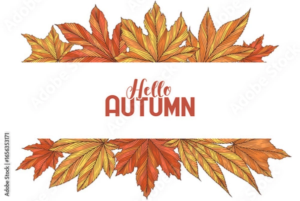Fototapeta Hello autumn vector banner template with colorful hand drawn maple leaves isolated on white background. Fall leaf vector illustration. Seasonal design for advertising flyer website poster card