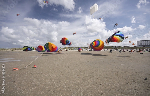 Obraz Drachenfest 2009