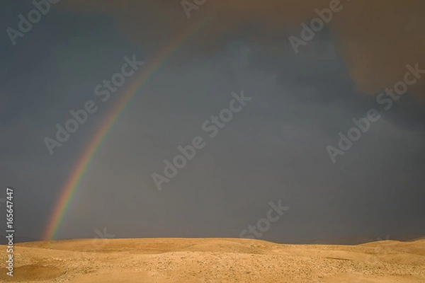 Fototapeta Rainbow in the desert