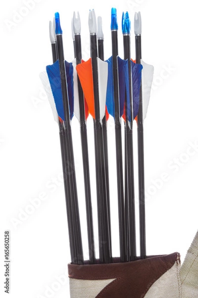 Fototapeta Sport arrows with fletching and nocks in quiver