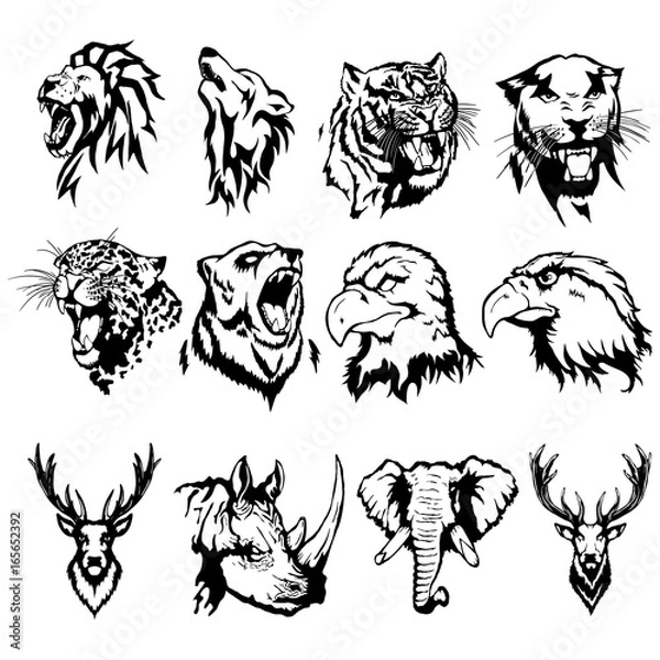 Fototapeta Isolated illustration of the head of an eagle, an owl, a deer, a lion, a wolf, a tiger, a panther, a leopard, a bear, a rhinoceros and an elephant