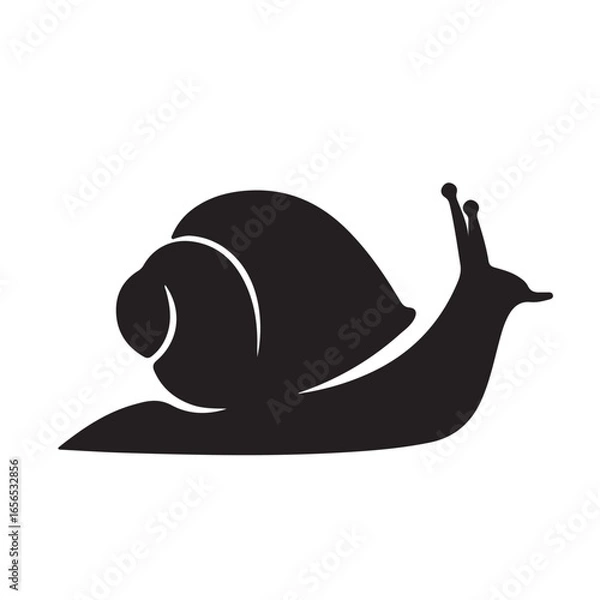 Fototapeta Snail logo icon designs vector illustration with mono isolated shilouette white background color with flat simple modern
