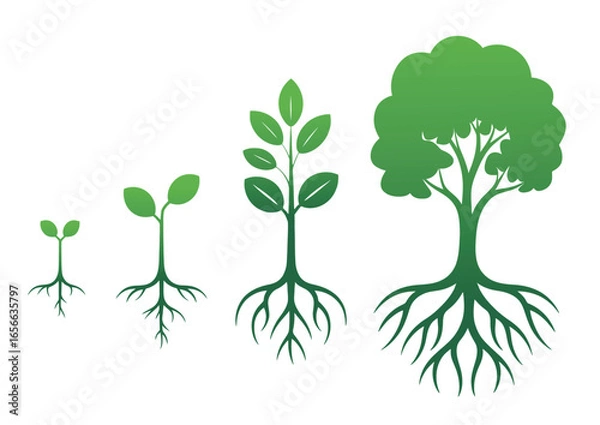 Fototapeta Visualize business growth stages from seedling to mature tree, representing success and development
