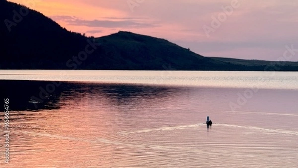 Obraz sunset on the beach