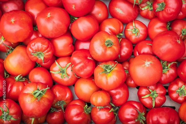 Obraz ripe tomatoes at the market