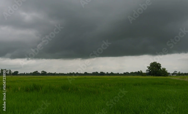 Fototapeta Rain clouds and black sky textured background. Danger storm cloud, Black cloud and thunder storm, Dark sky and motion clouds before rainy.