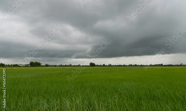 Fototapeta Rain clouds and black sky textured background. Danger storm cloud, Black cloud and thunder storm, Dark sky and motion clouds before rainy.