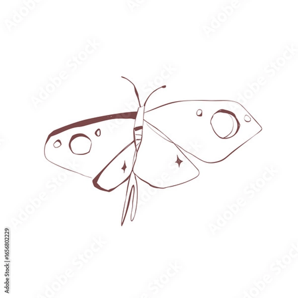 Fototapeta Dark and mystical moth with Halloween vibes insect line drawing for tattoo sticker stationery and poster Vector illustration