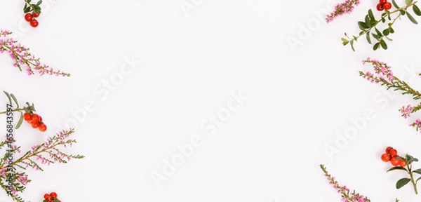 Fototapeta Winter holiday background with lingonberry berries and heather on white, panoramic frame with copy space, seasonal nature design for Christmas greeting card, New Year banner, festive decoration