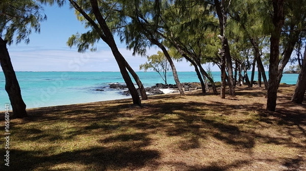 Fototapeta Ile Maurice