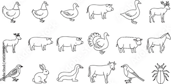Fototapeta Diverse collection of black and white line art drawings of farm and wild animals