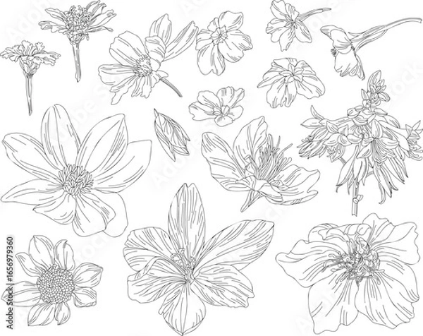 Obraz Set of flowers and leaves arranged on a transparent background in vintage style