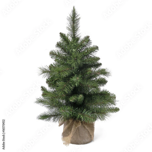 Obraz Weihnachtsbaum