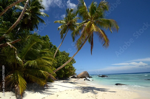 Obraz Seychelles - Silhouette