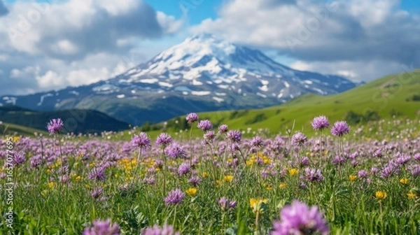 Fototapeta wildflowers, colorful, snowy wallpaper generative ai