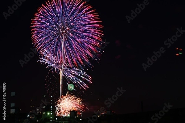 Fototapeta 花火⑤