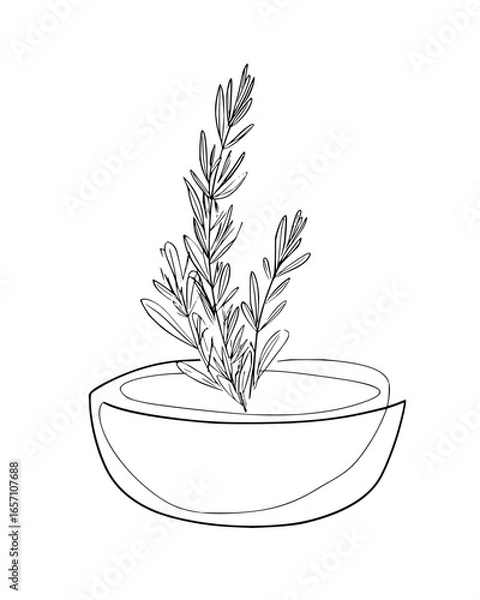 Obraz Minimalist line art of rosemary plant in a pot, ideal for adding a touch of nature to your designs and creative projects vector art drawing