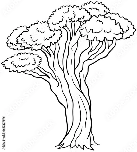 Obraz Bristlecone Pine Tree Vector Outline Line Art Drawing