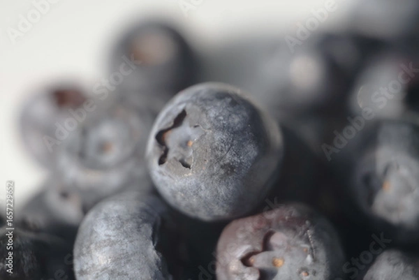Obraz blueberries close up