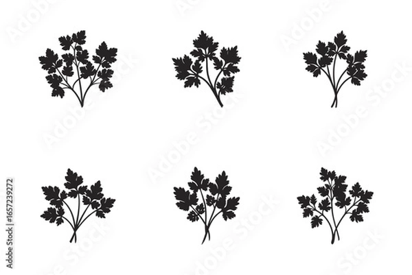 Fototapeta Parsley Herb Silhouette Pattern for Culinary and Decorative Purposes Fresh and Aromatic Herb Background with Simple and Elegant Design