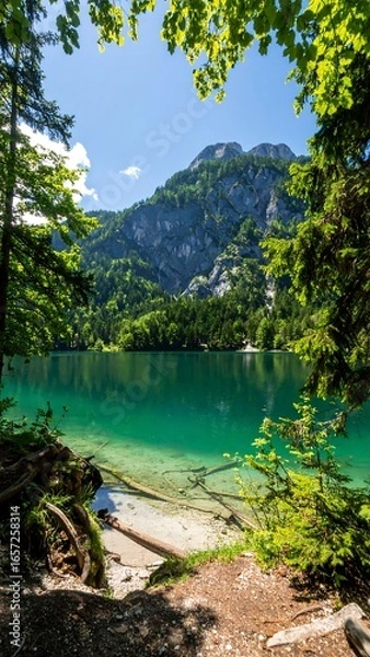 Obraz Mountain lake scenery, lush green trees, clear water
