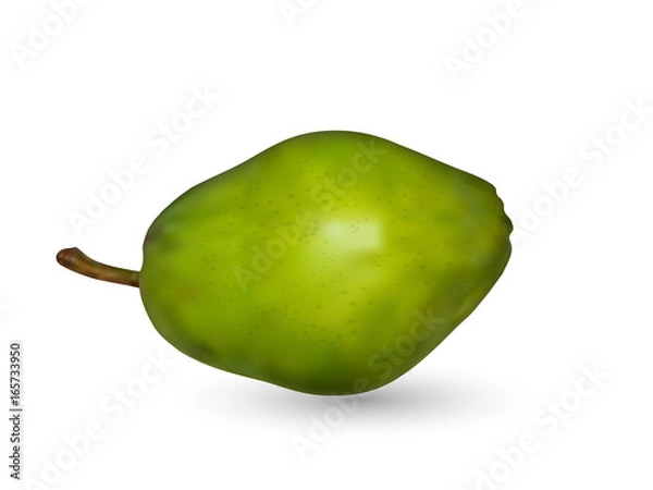 Obraz vector pear