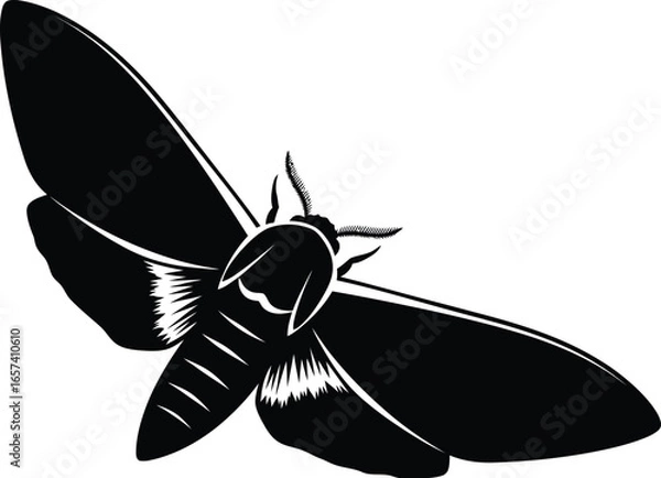 Fototapeta A black and illustration of a moth flying towards moon, capturing beauty of nocturnal wildlife