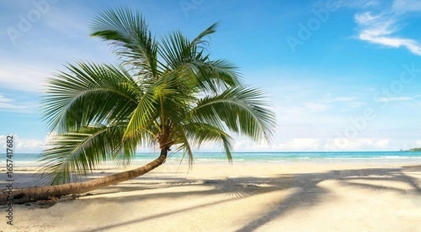 Fototapeta palm tree on the beach