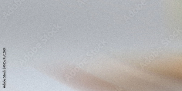 Fototapeta A subtle gray grainy texture creates a versatile abstract background with a neutral and modern feel