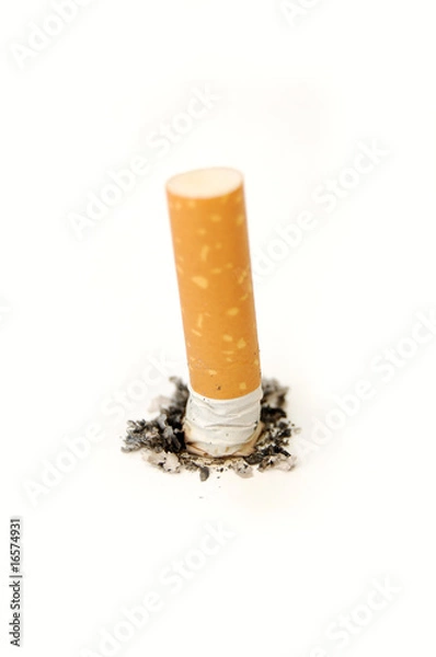 Fototapeta Cigarette butt