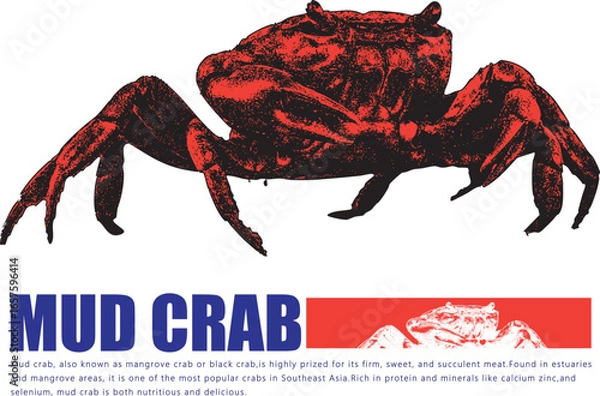 Obraz Orange Crab Logo Design Seafood Restaurant Brand Identity Template Marine Shellfish Crustacean Vector Illustration Typography Blue Text Business Branding Menu Design Nautical Vintage Grunge Style