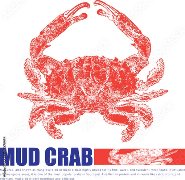 Obraz Orange Crab Logo Design Seafood Restaurant Brand Identity Template Marine Shellfish Crustacean Vector Illustration Typography Blue Text Business Branding Menu Design Nautical Vintage Grunge Style