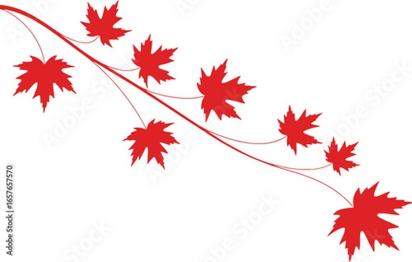 Fototapeta Red Maple Leaves on Branch on a White Background