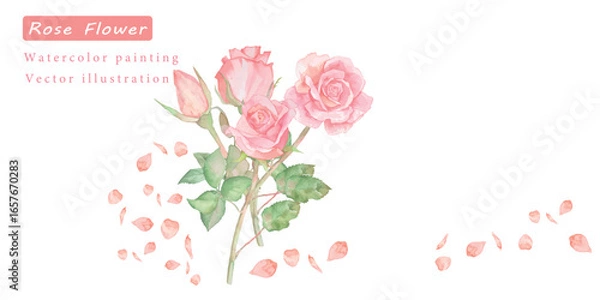 Fototapeta 水彩で描いたバラのベクターフレームイラスト