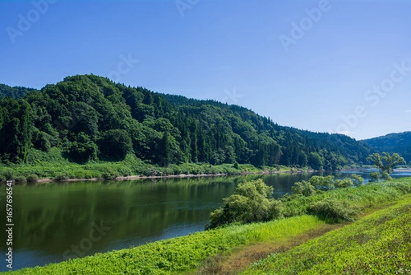 Obraz 緑深まる初夏の最上峡