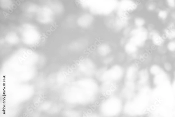Obraz Abstract natural tree leaves shadow on white wall background