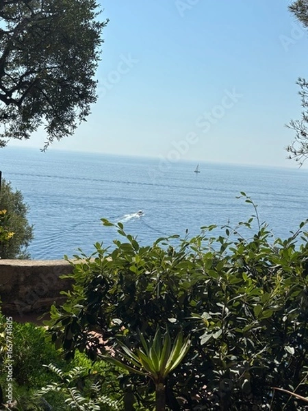 Fototapeta view of Monaco, aerial view of the sea Monaco