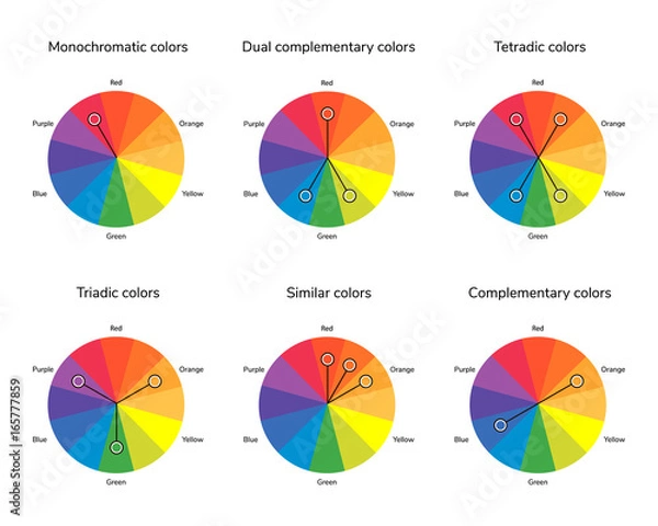 Fototapeta vector illustration of color circle, complementary, analogous