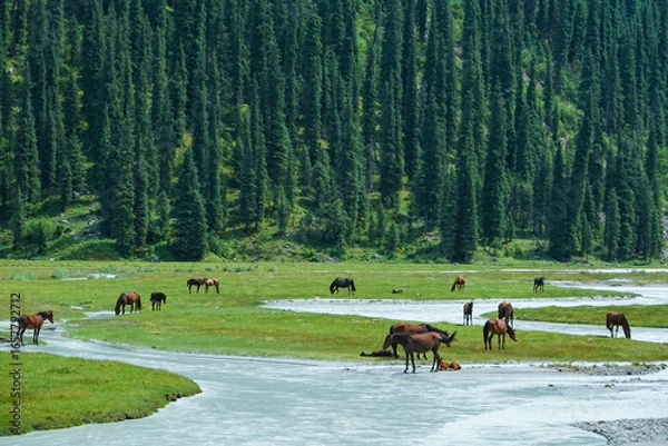Obraz キルギス_カラコル-アラ・キョリ湖