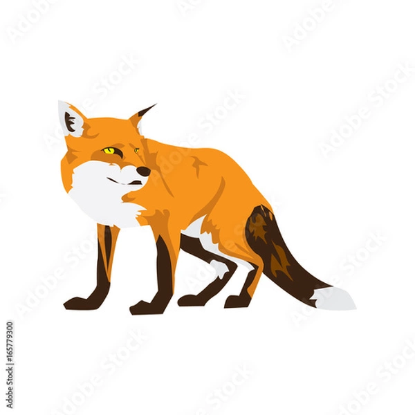 Obraz Fox 