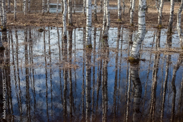 Obraz Spring flood in the forest