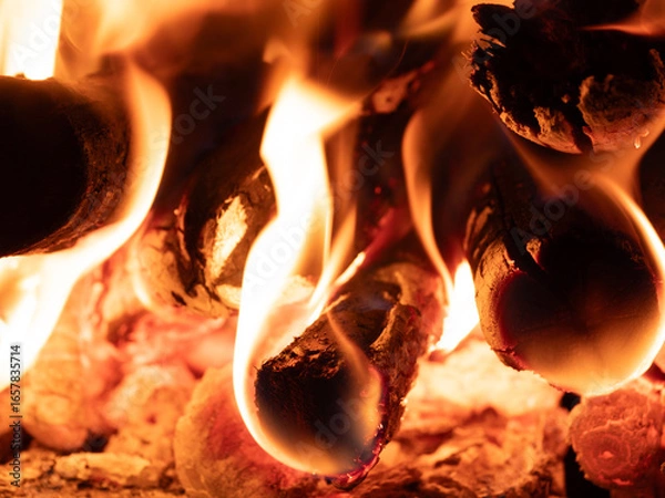 Fototapeta 焚き火