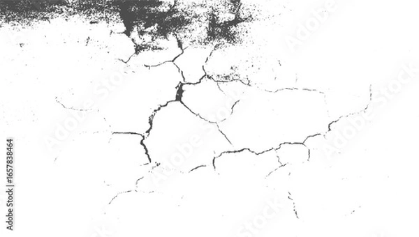 Fototapeta grunge crack texture. Overlay vector illustration over any design. Grunge Urban Different distressed black grain texture. Distress overlay vector textures vector design on transparent background.