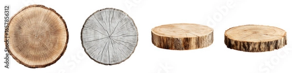 Fototapeta Wood Slices Set: Natural Tree Rings on White Background
