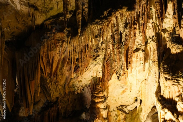 Fototapeta スロベニア_ポストイナ鍾乳洞